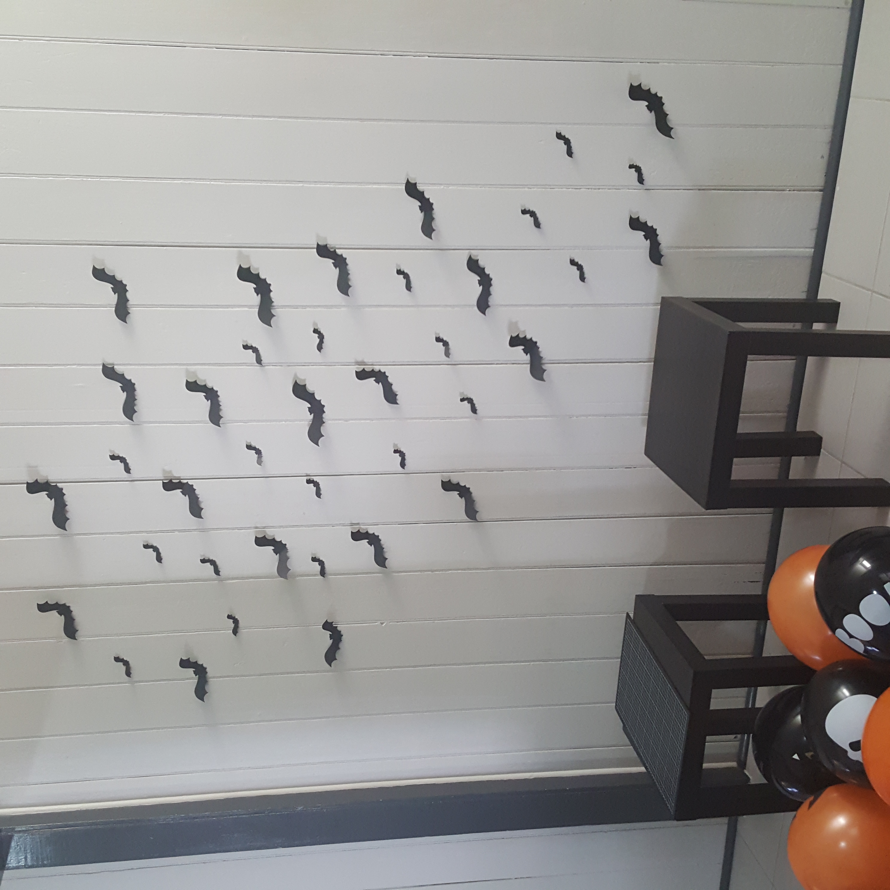 Image #1 from Hollie