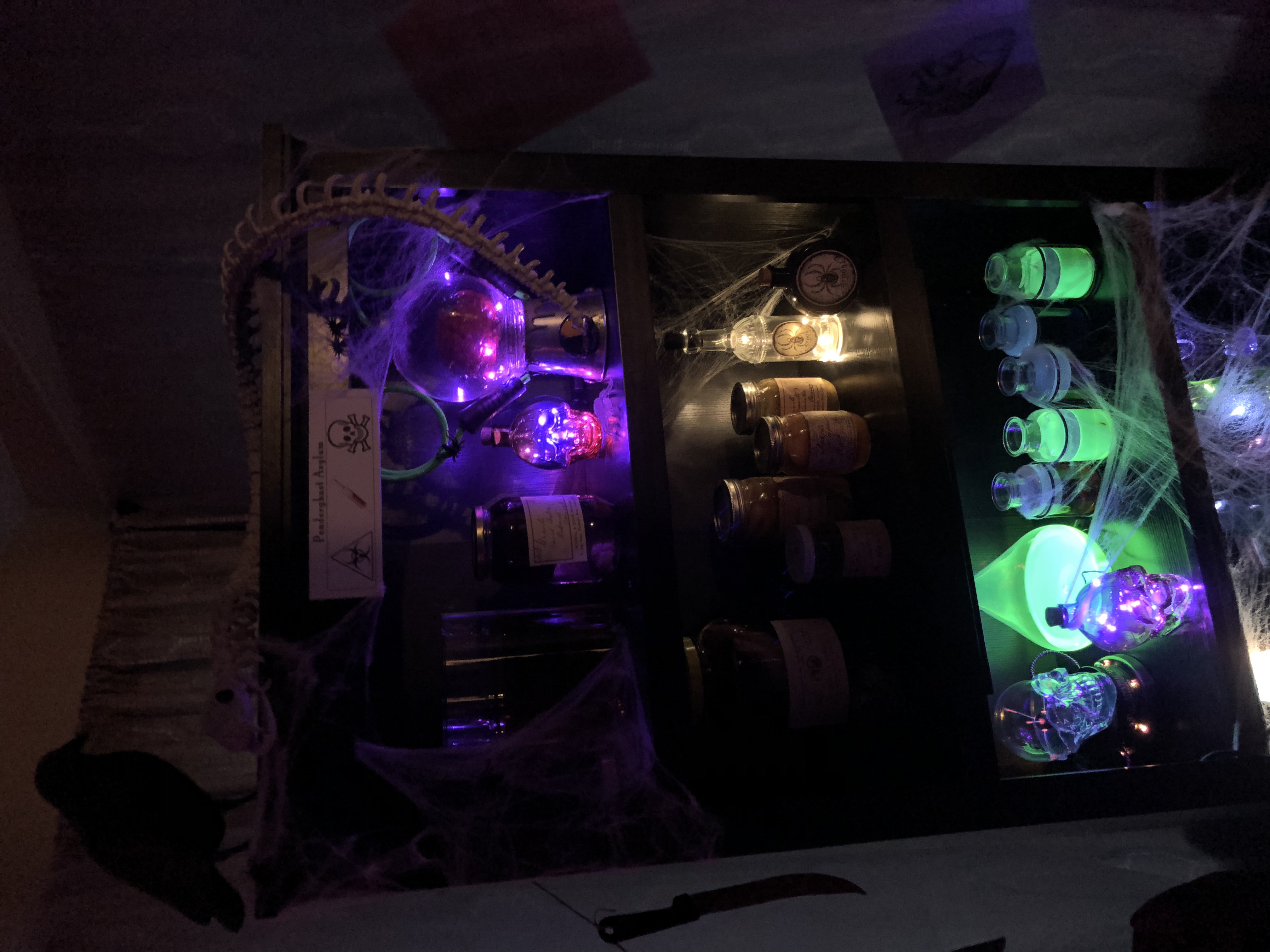 Image #4 from Laura Guerin Lovett