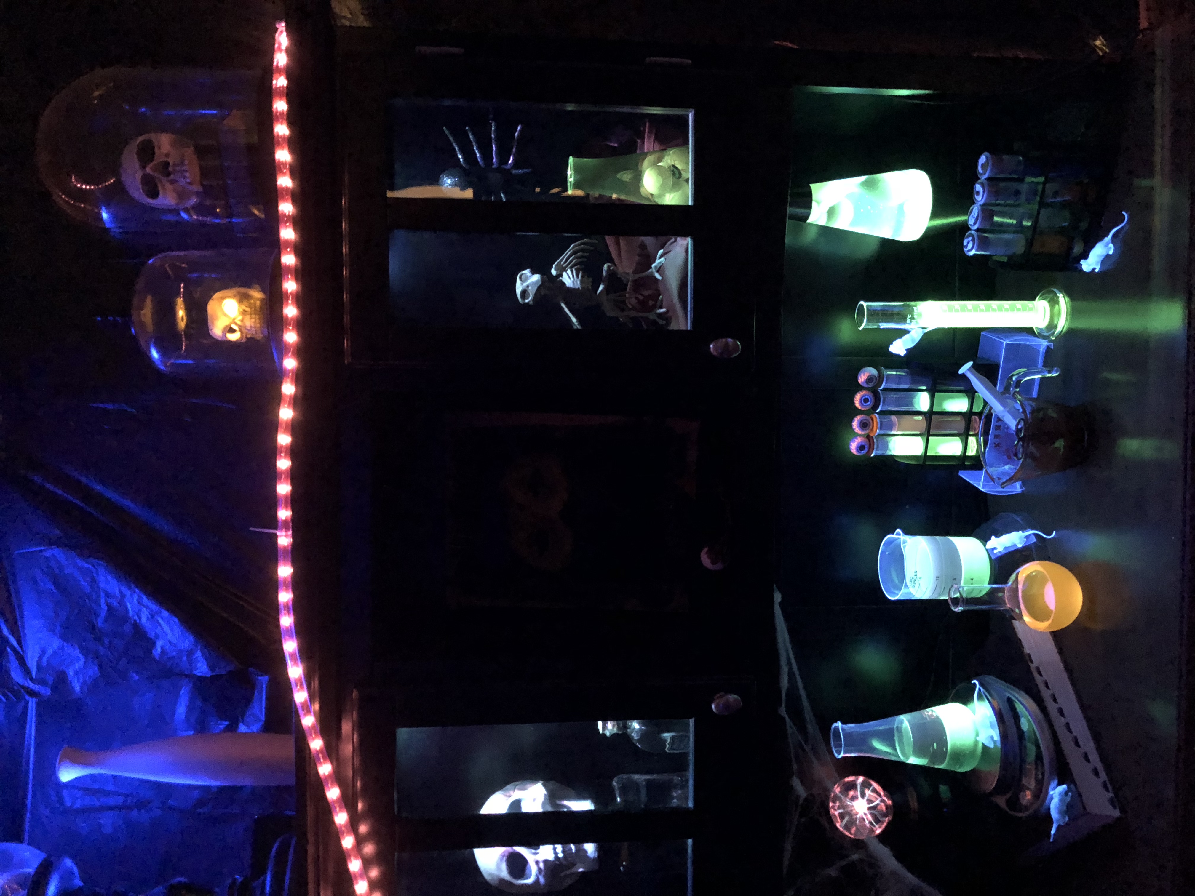 Image #5 from Laura Guerin Lovett