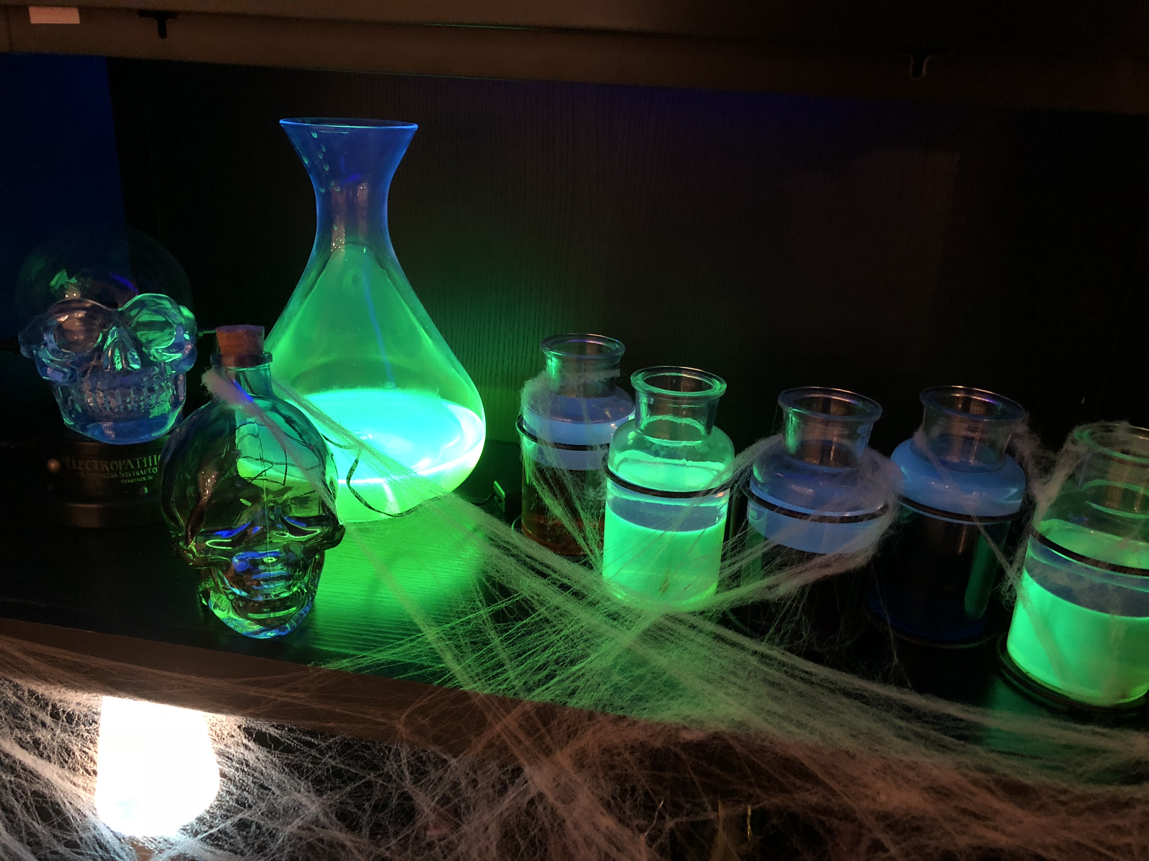 Image #14 from Laura Guerin Lovett