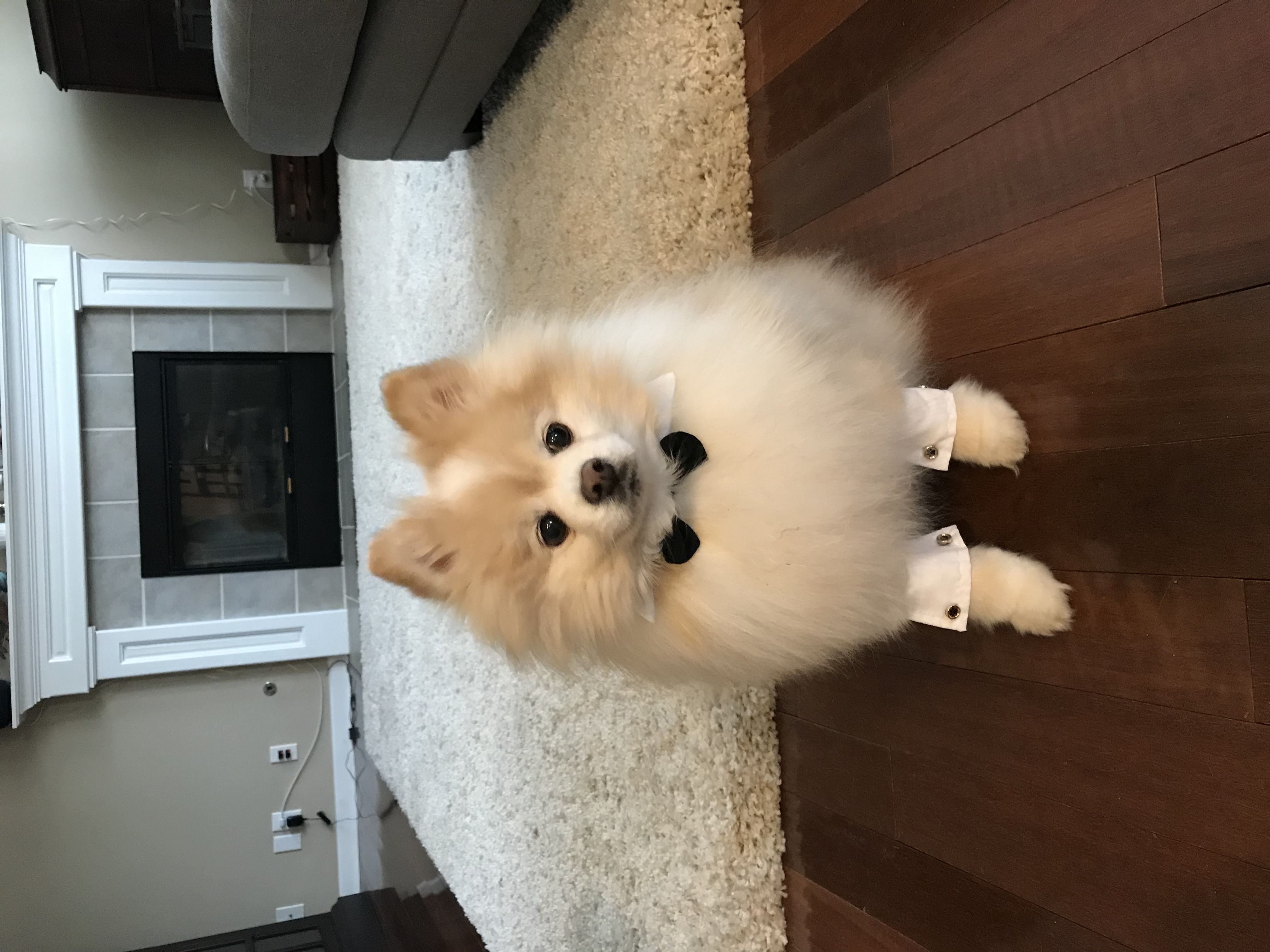 Image #1 from ScienceGrrl