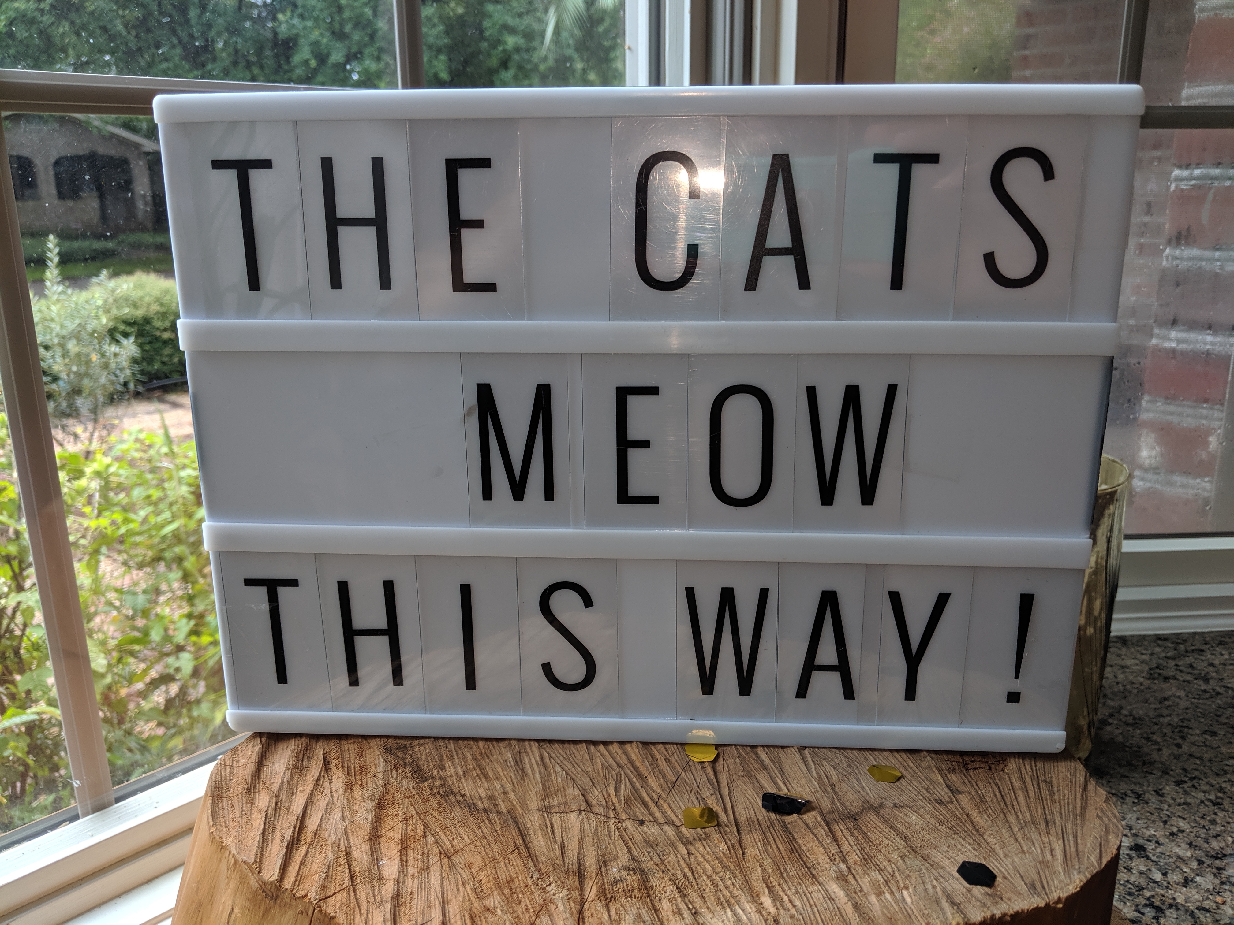 Image #7 from Chan’s sister