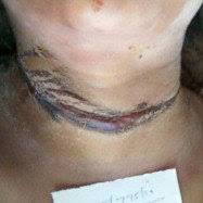 Image #7 from Julia Glauer-Guinn