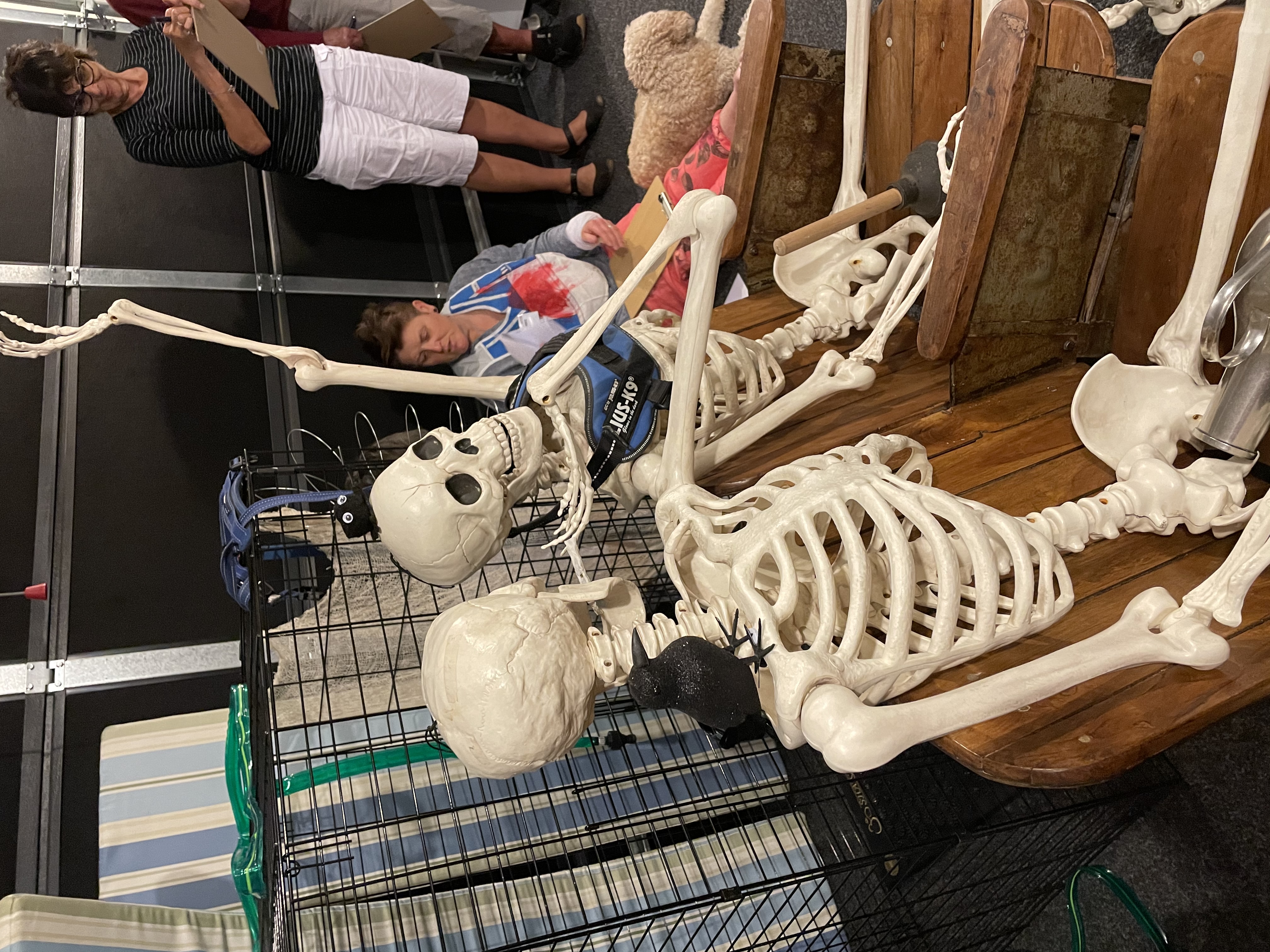 Image #1 from Tracey