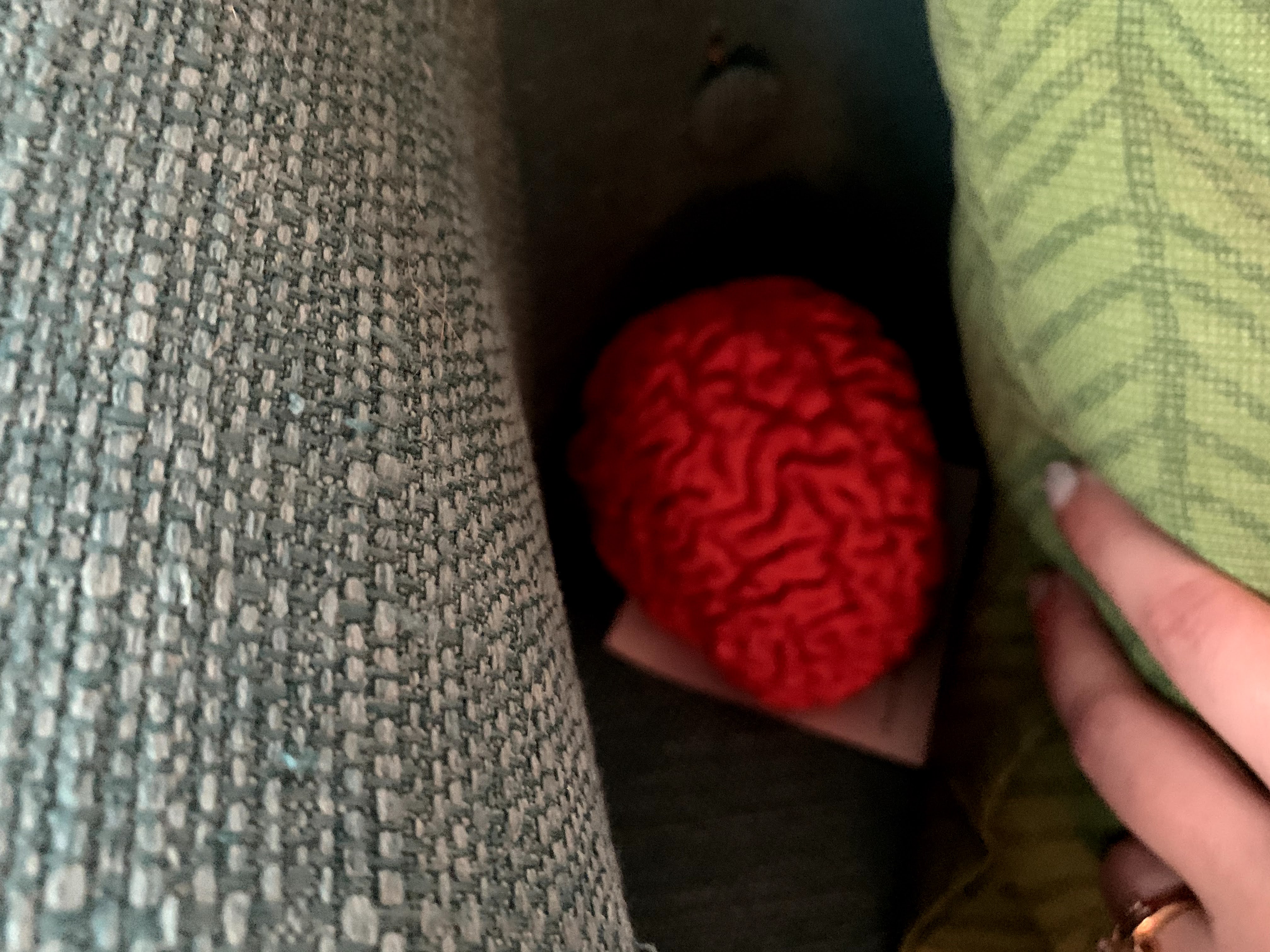 Image #2 from Jacqui