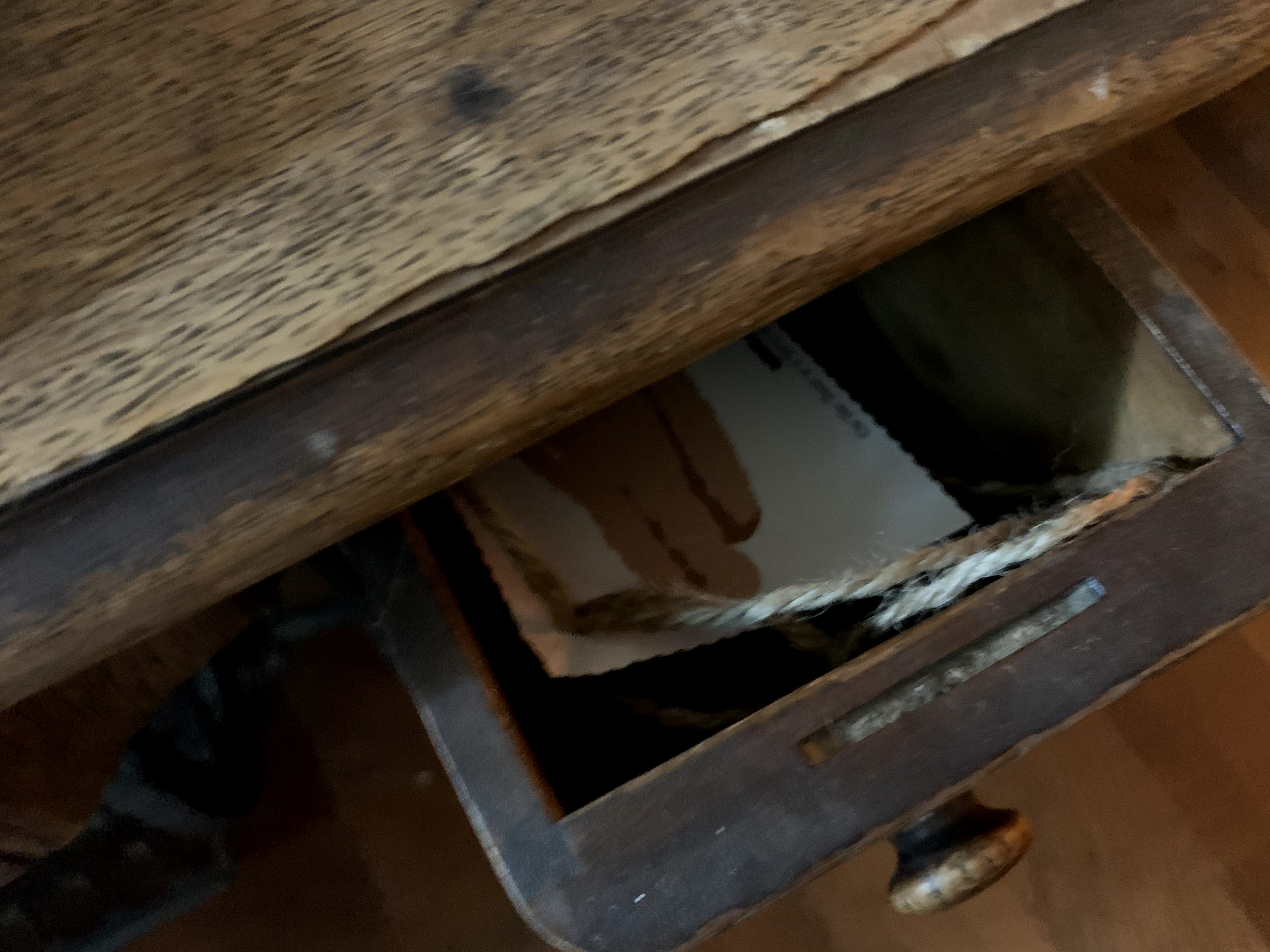 Image #4 from Jacqui