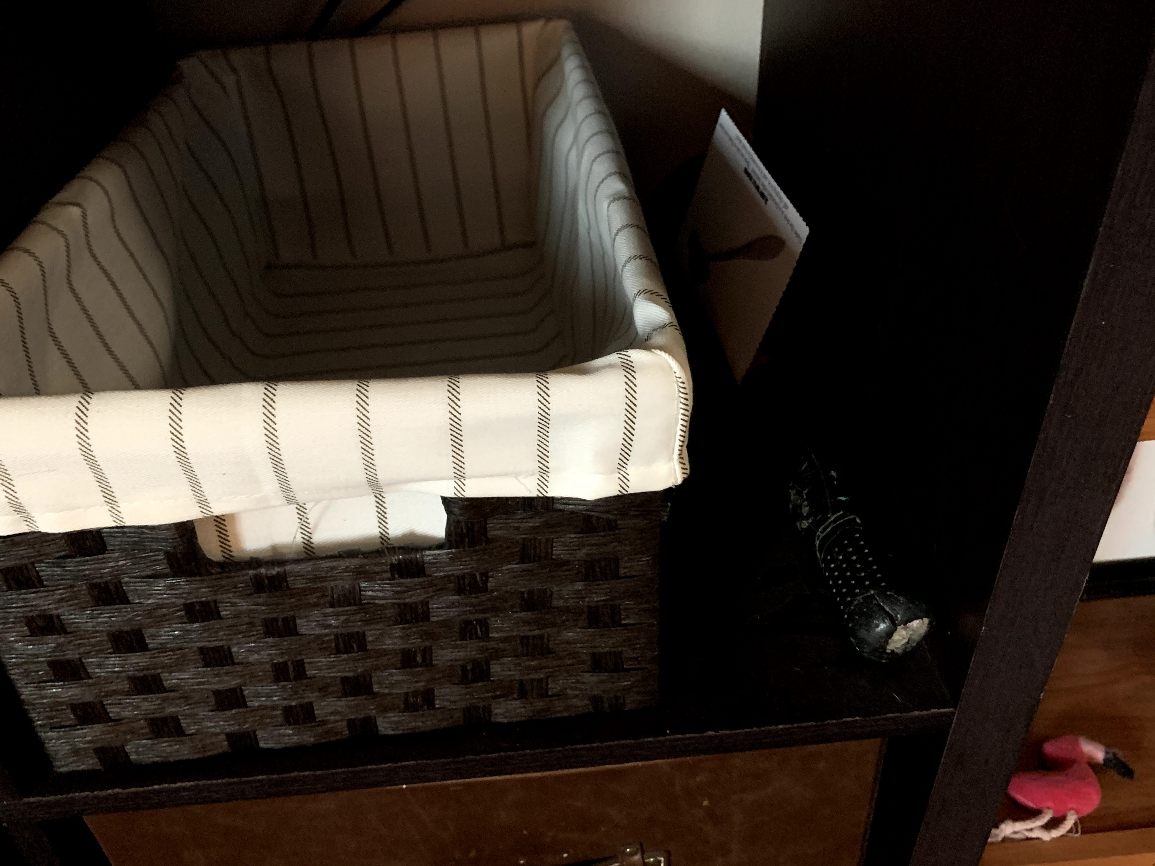 Image #5 from Jacqui