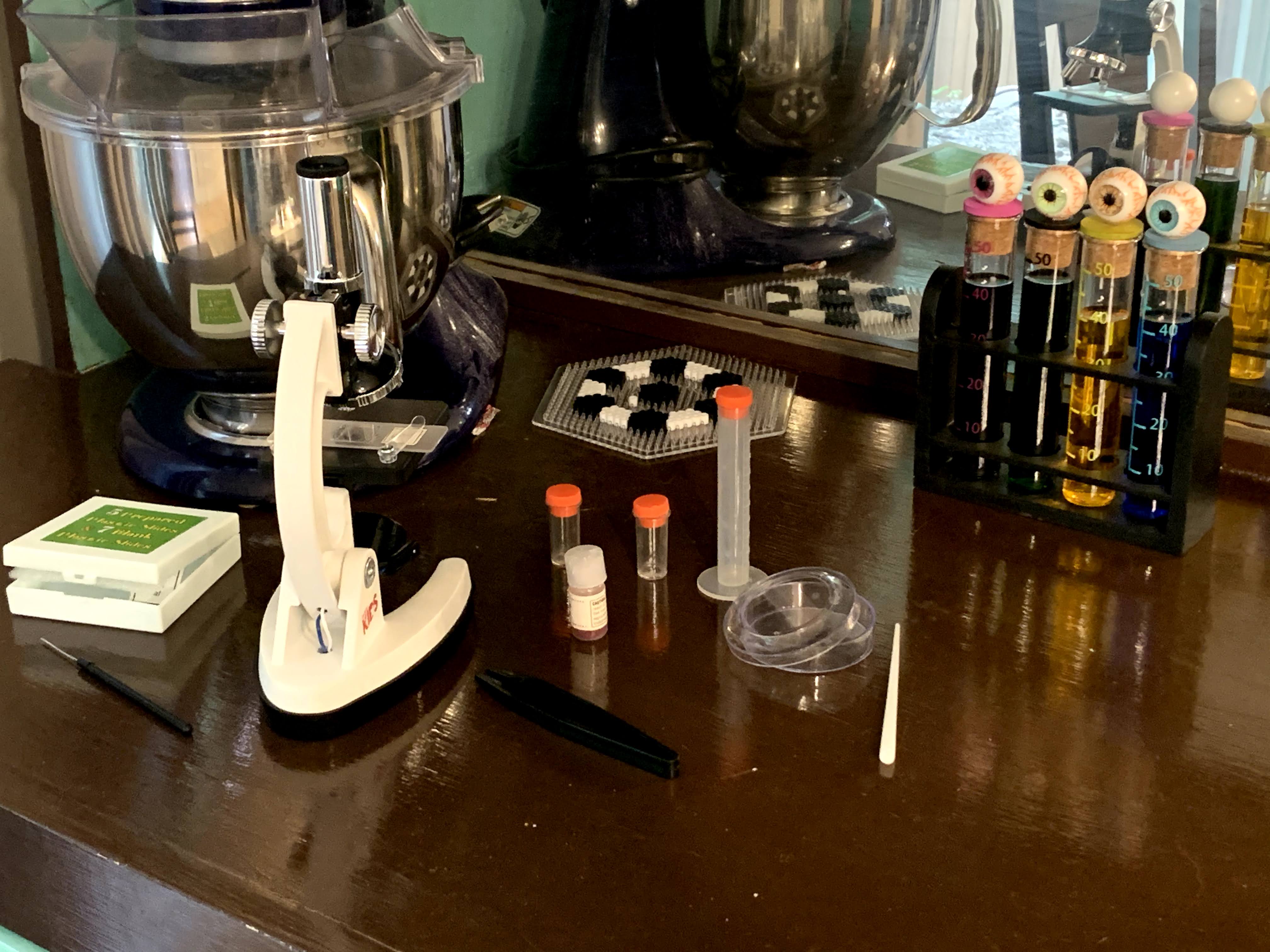 Image #9 from Jacqui