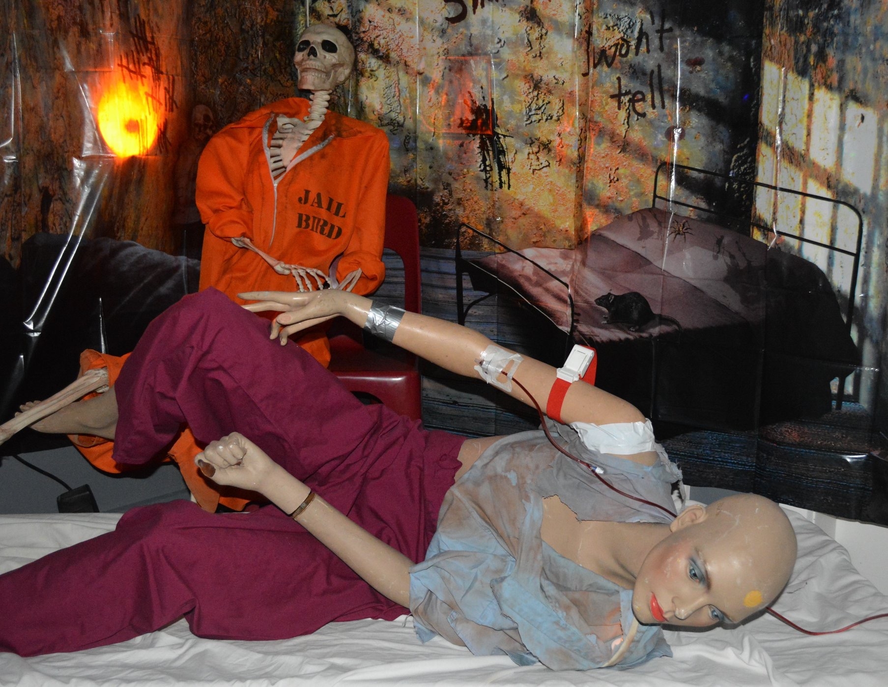 Image #4 from Absolute success!!!!