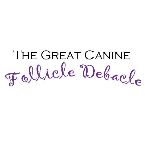 The Great Canine Follicle Debacle